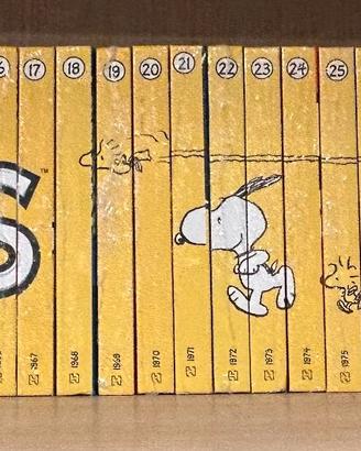 Collezione Completa "Tutto Peanuts" Hachette