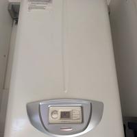 Caldaia Immergas Caesar 14