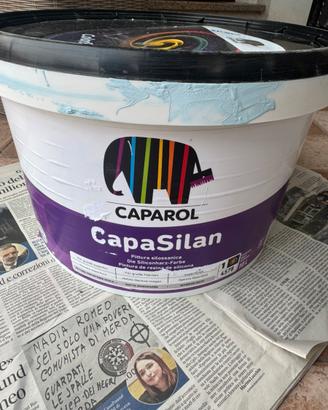 Pittura azzura per interni
