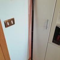 Canna bolognese carbonio 7 m Camor Carbon Spirit