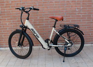 Bicicletta Elettrica