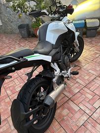 Benelli Trk 251