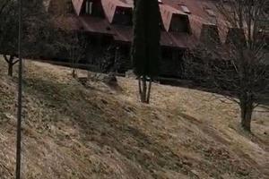 Monolocale a Tarvisio