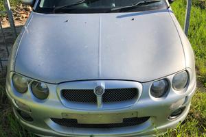 Mg zr - 2004
