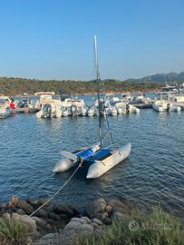 Minicat 310 catamarano gongiabile