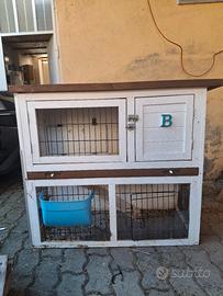 casetta conigli