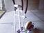 Immagine 1