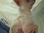 Immagine 1