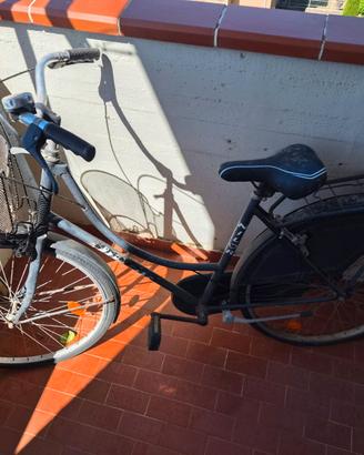 Bicicletta