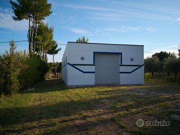 Struttura industriale