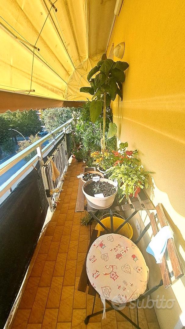 Appartamento – Oriago, Casana, Venezia - Vista 4