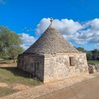Trullo da ristrutturare con terreno di 5.168 mq