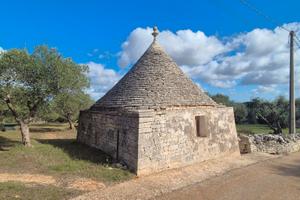 Trullo da ristrutturare con terreno di 5.168 mq