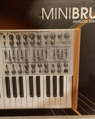 Arteria Minibrute