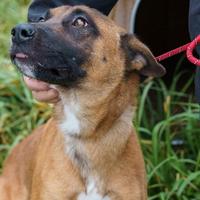 ARIA giovanissima e stupenda