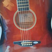 Chitarra acustica elettrificata SX
