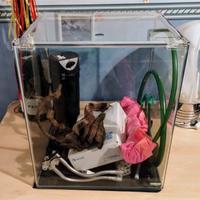 Acquario 50 litri completo