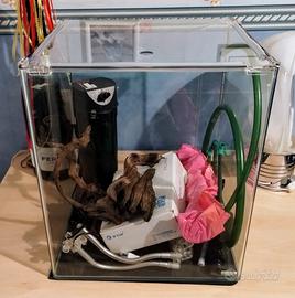 Acquario 50 litri completo