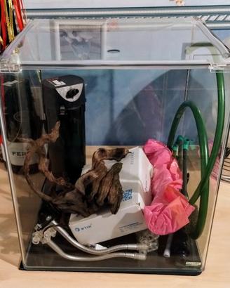 Acquario 50 litri completo