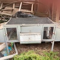 Gabbia conigli