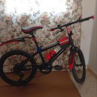 Bicicletta Mountain Bike