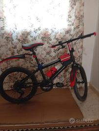 Bicicletta Mountain Bike