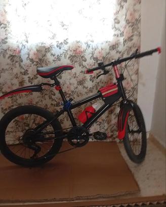 Bicicletta Mountain Bike