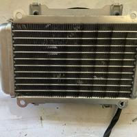 Radiatore piaggio vespa gts 300 usati