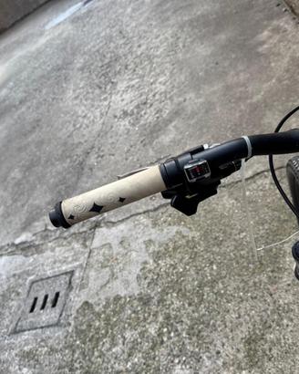 bicicletta