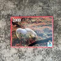 Puzzle Schmidt 2000 pezzi, completo non verificato