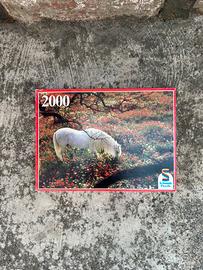 Puzzle Schmidt 2000 pezzi, completo non verificato