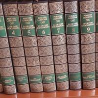 Ecicopedia Peruzzo Larouse