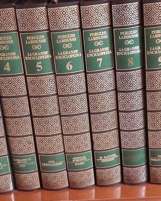 Ecicopedia Peruzzo Larouse