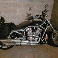 harley davidson v road