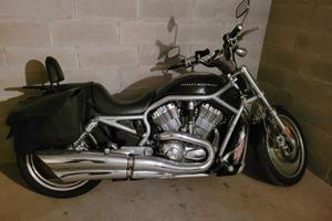 harley davidson v road