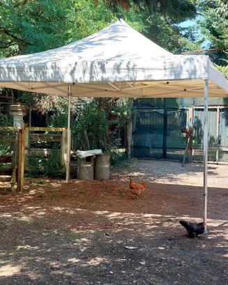 gazebo professionale 4 x 4