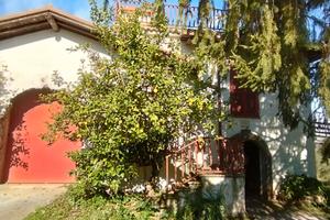 Casale con uliveto,bosco e terreno frontestrada