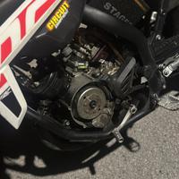 Beta rr50 2021