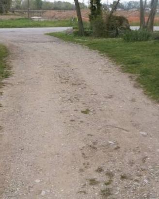 Immobile in asta di 8792 m² a Istrana