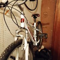 Atala bicicletta