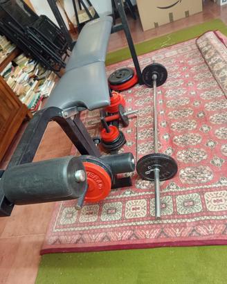 panca fassi sport 