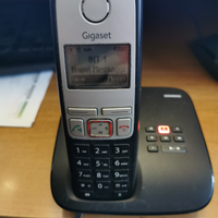 Cordless siemens