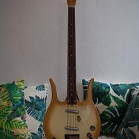 Dynelectron Meazzi Longhorn ( vintage fretless )