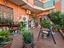 Immagine 22