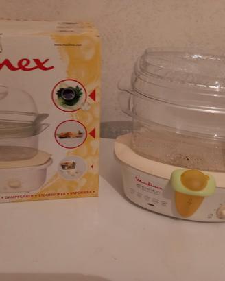 vaporiera elettrica Moulinex nuova