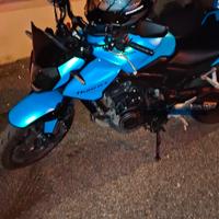 Honda cb 500 hornet anno 2024