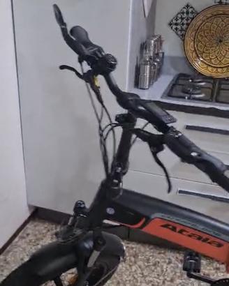 Bici pieghevole