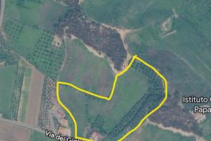 CASA COLONICA CON 4 ETTARI DI TERRENO E 300 ULIVI