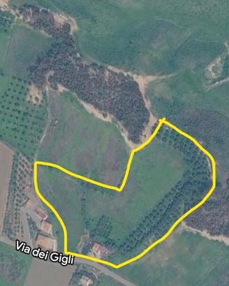 CASA COLONICA CON 4 ETTARI DI TERRENO E 300 ULIVI