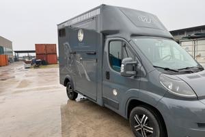 Van trasporto cavalli